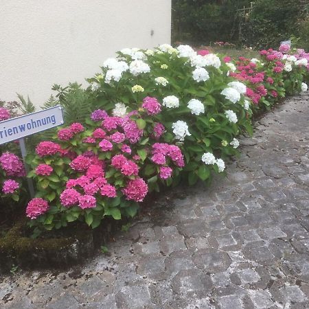Ferienwohnung Sponheim Traben-Trarbach Exterior foto