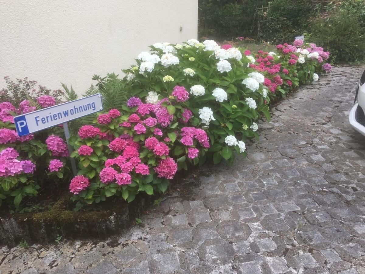 Ferienwohnung Sponheim Traben-Trarbach Exterior foto